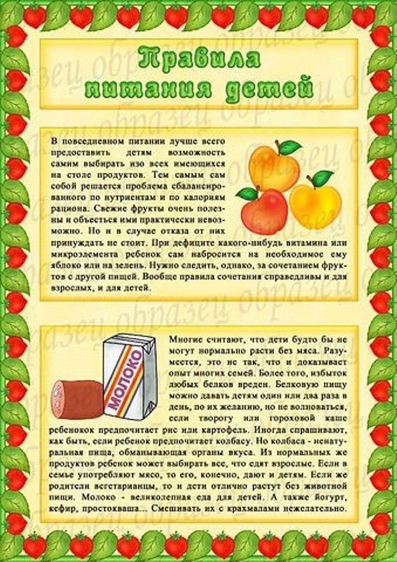 Проект по правильному питанию в старшей группе